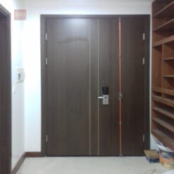 Cửa gỗ làm từ ván ép plywood, ứng dụng cửa 2 cánh S90-CPL003
