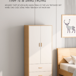 Tu Quan Ao Thong Minh Co Ngan Keo Da Nang S90HOME 2