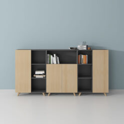 Tủ đựng hồ sơ thấp S90-TT04