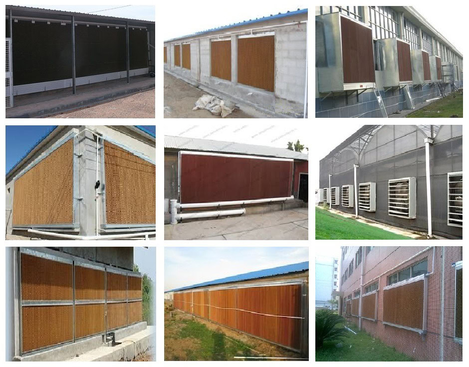 Cooling Pad được ứng dụng rộng rãi Tấm cooling Pad ứng dụng rộng rãi - Tấm làm mát nhà xưởng, Tấm làm mát công nghiệp, Tấm làm mát quạt hơi nước bằng nhựa