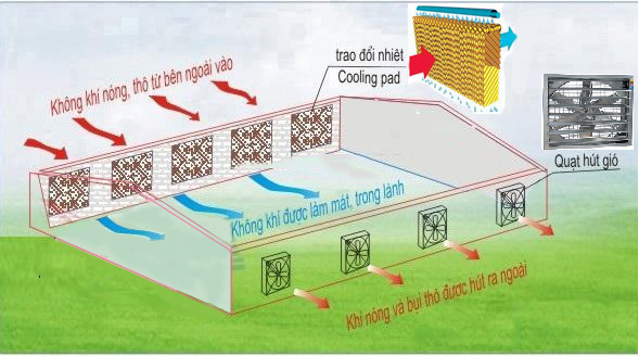 Cấu Tạo Tấm Làm Mát Cooling Pad nhà xưởng